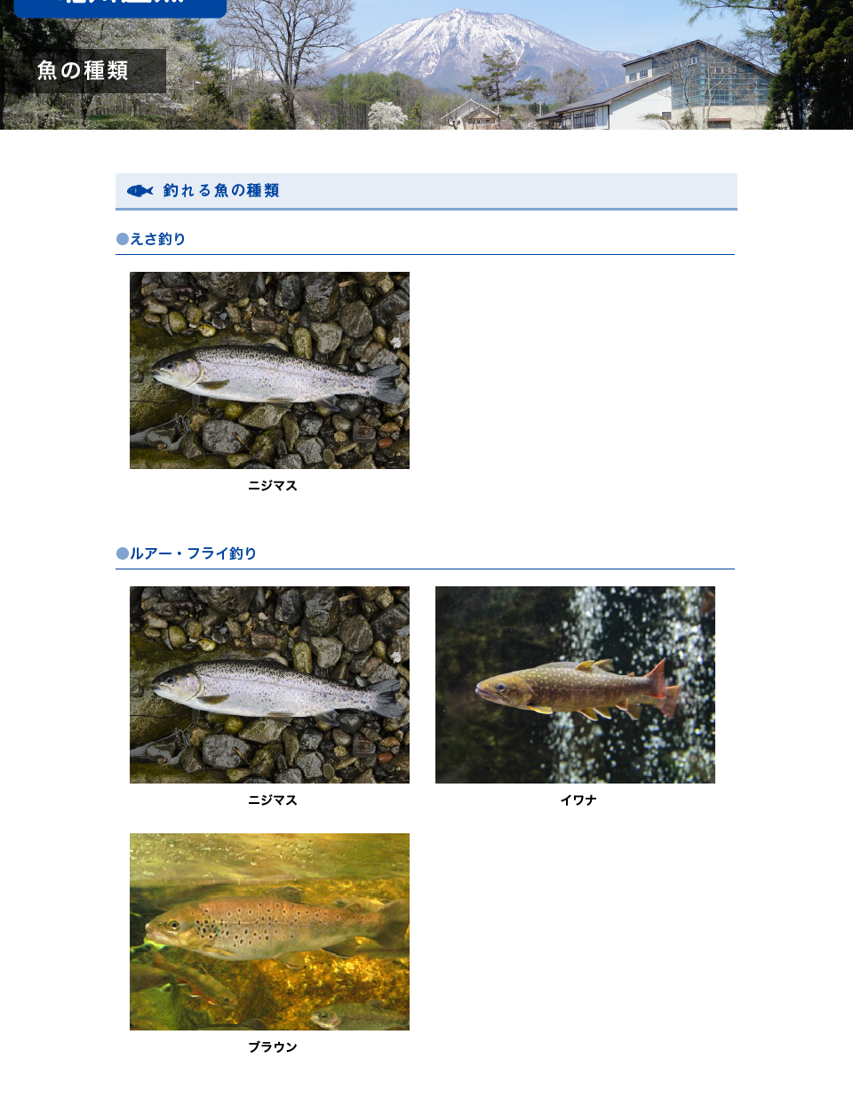北川遊魚